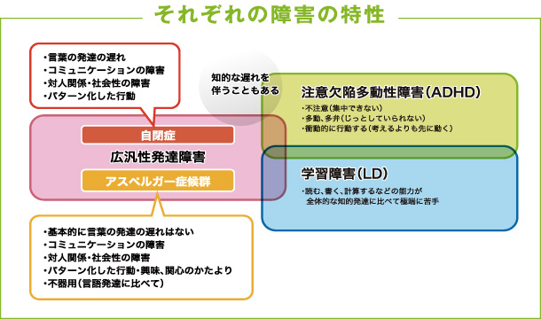 それぞれの障害の特性